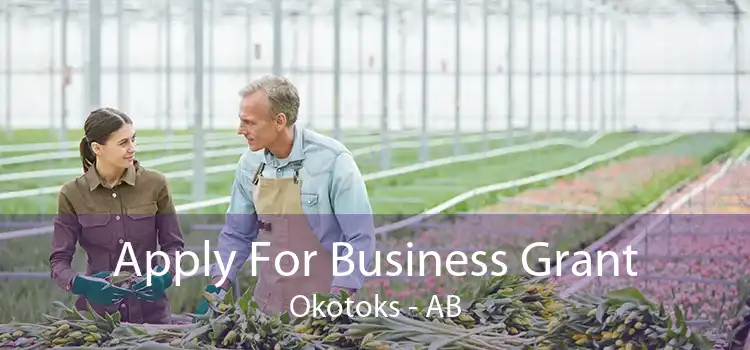 Apply For Business Grant Okotoks - AB